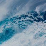 lp7-sonoran-hero1-jpg